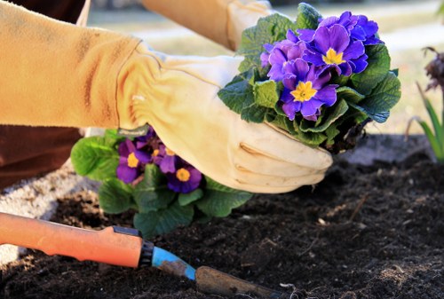 Insurance documents and policies laid out on a table with gardening tools