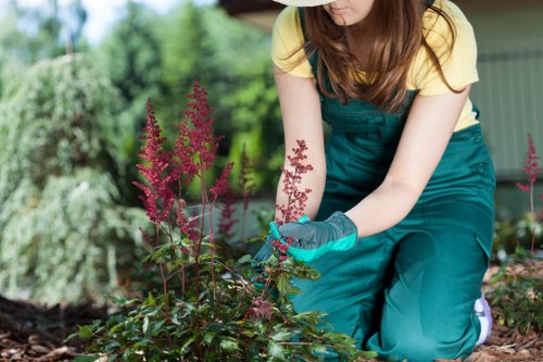 Woodchip and composting operations at a sustainable garden waste area
