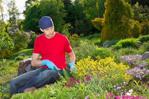 Keyboard and screen-reader tools being used to navigate a gardeners service page
