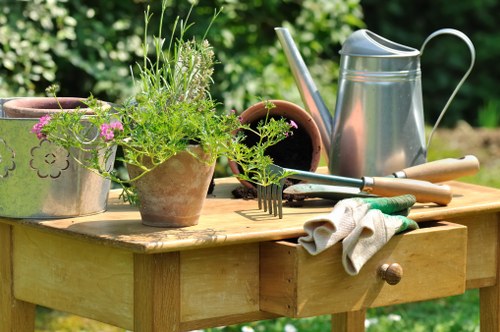 Professional gardener working in a Raynes Park garden